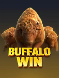 Buffalo Win by PG SOFT on getrummy777 game-detail banner